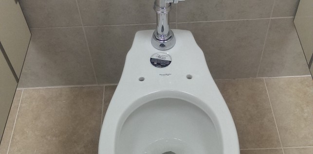 WC con Fluxometro